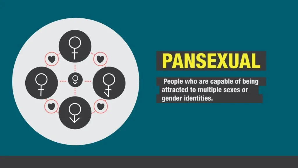 https___cdn.cnn.com_cnnnext_dam_assets_151106132159-gender-sexuality-pansexual-3